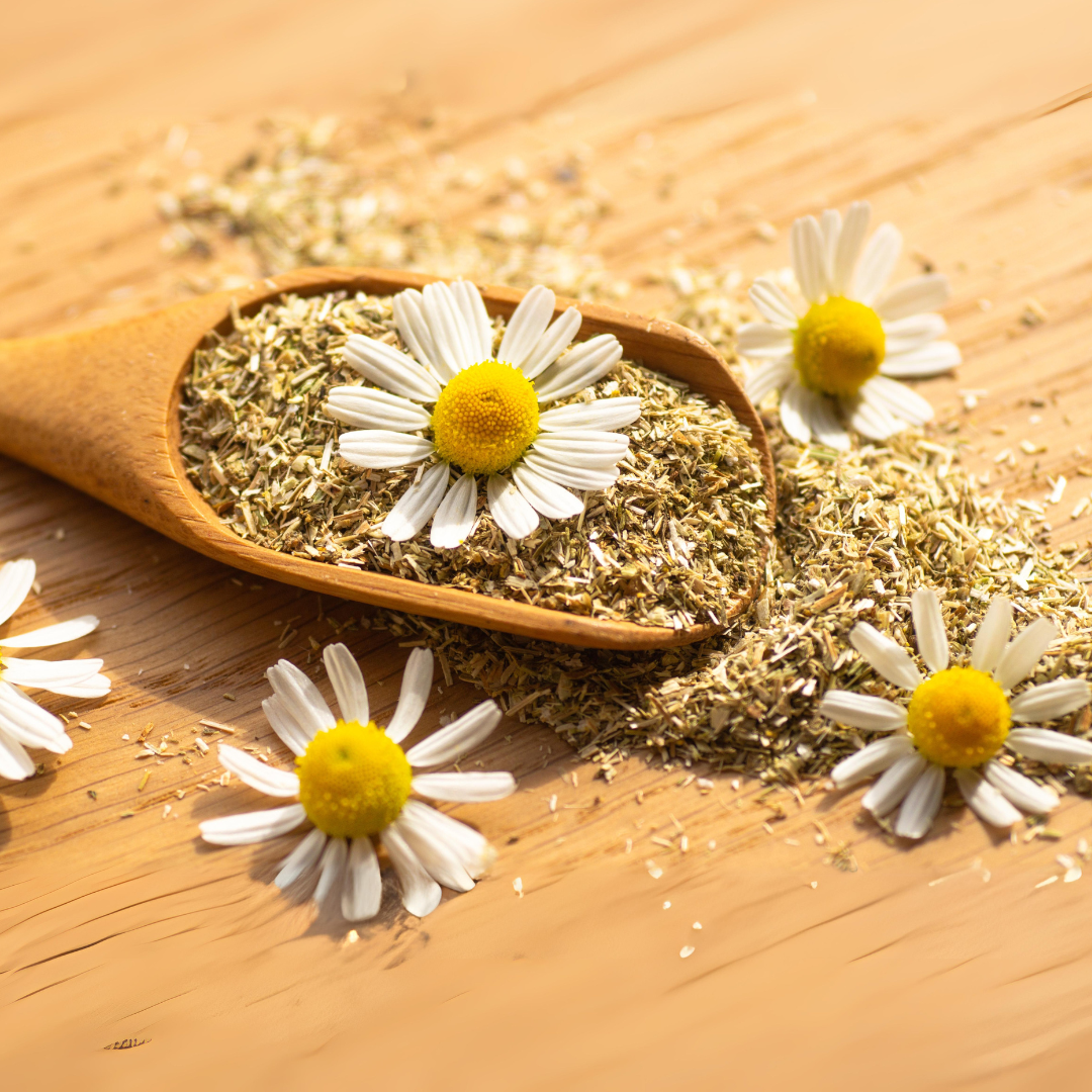 Chammomile Flowers