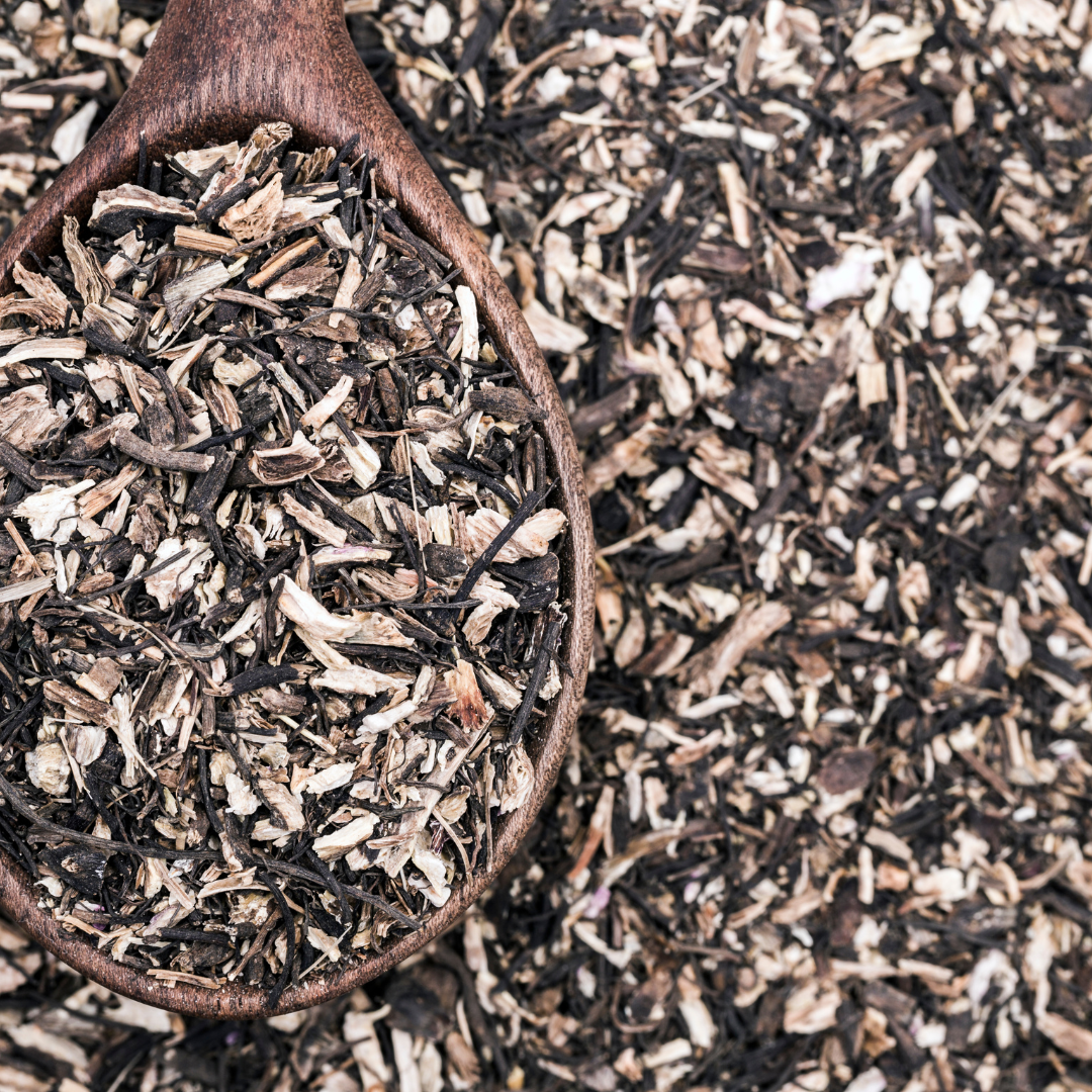 Echinacea Purpurea