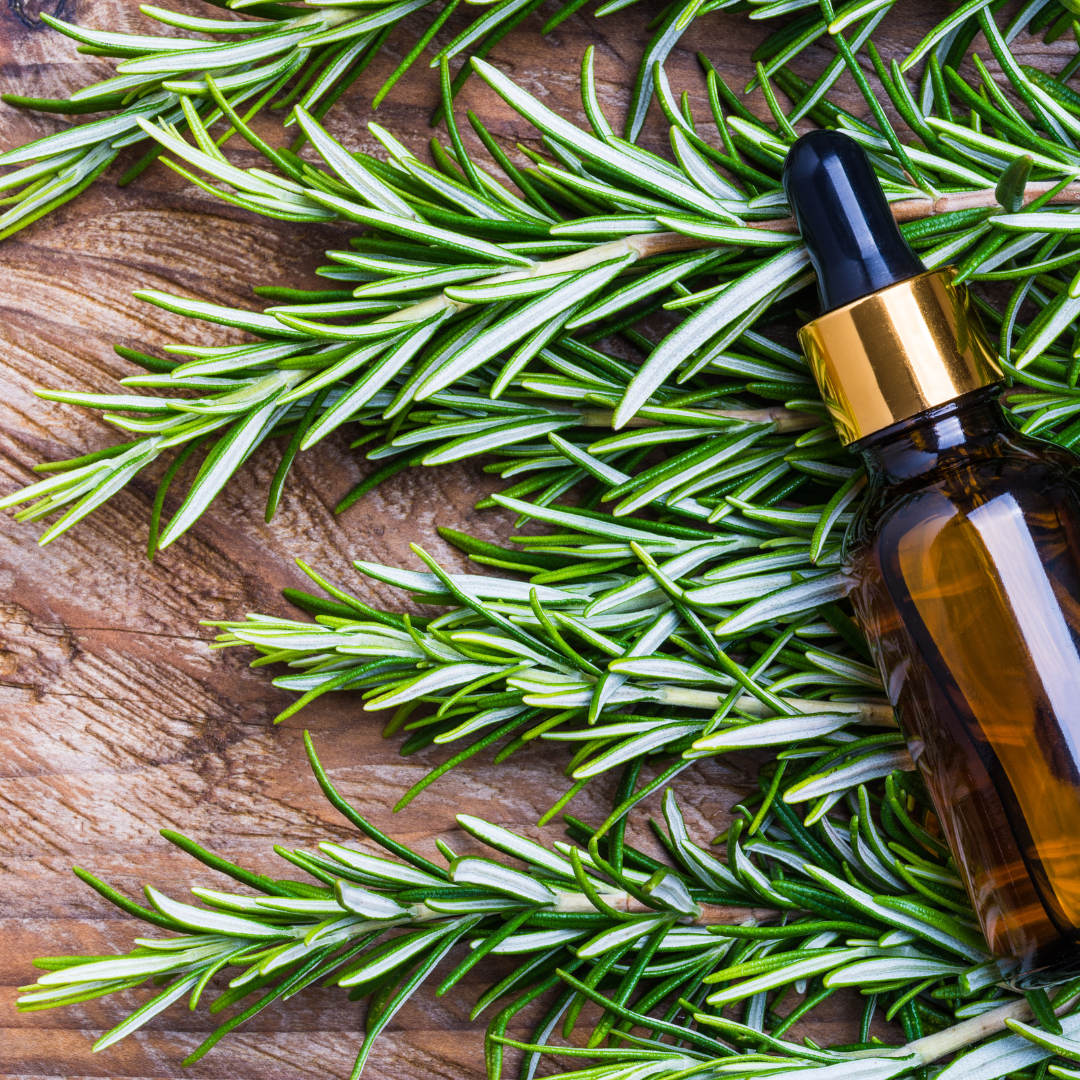 Rosemary Essential Oil