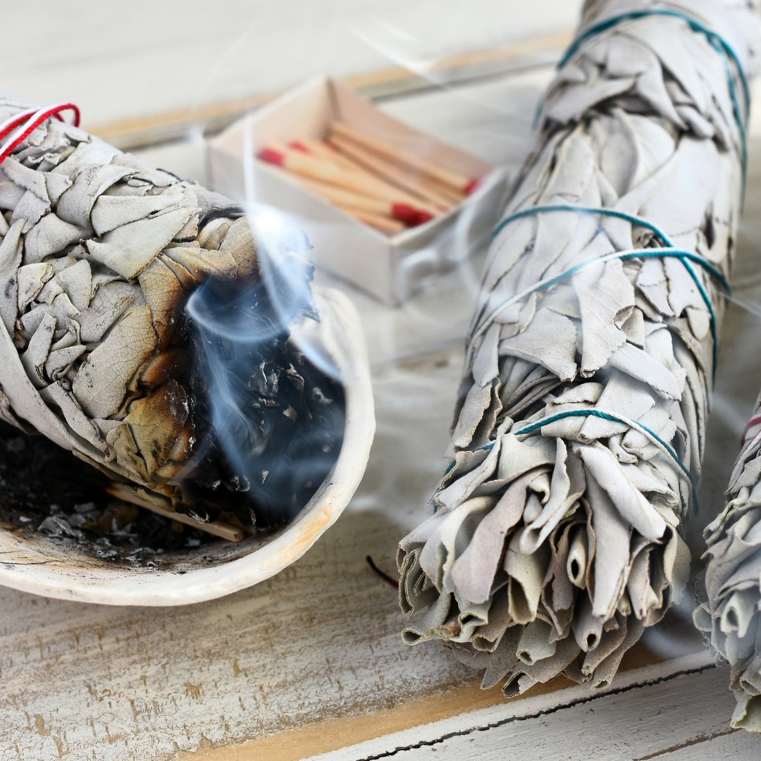 Cochimi White Sage Smudge Sticks