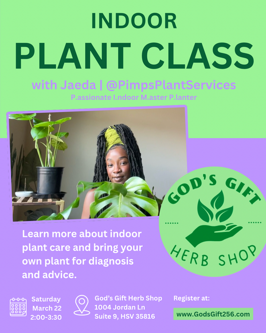 Plant Care Class 03/22