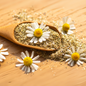Chammomile Flowers