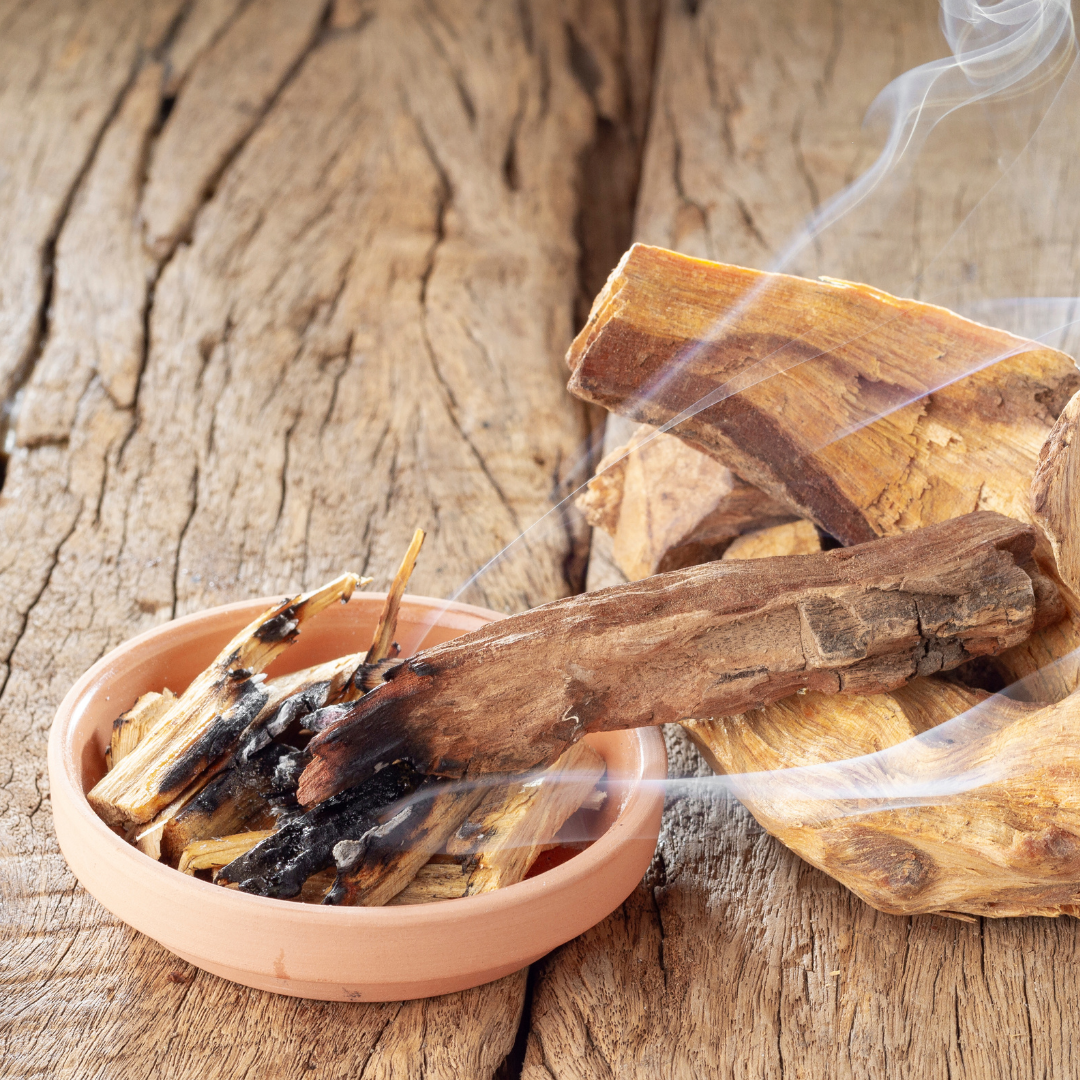 Ecuadorian Palo Santo Sticks