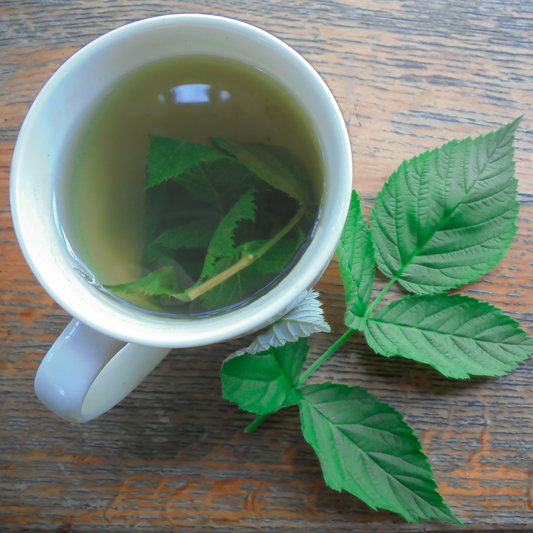 Raspberry Leaf